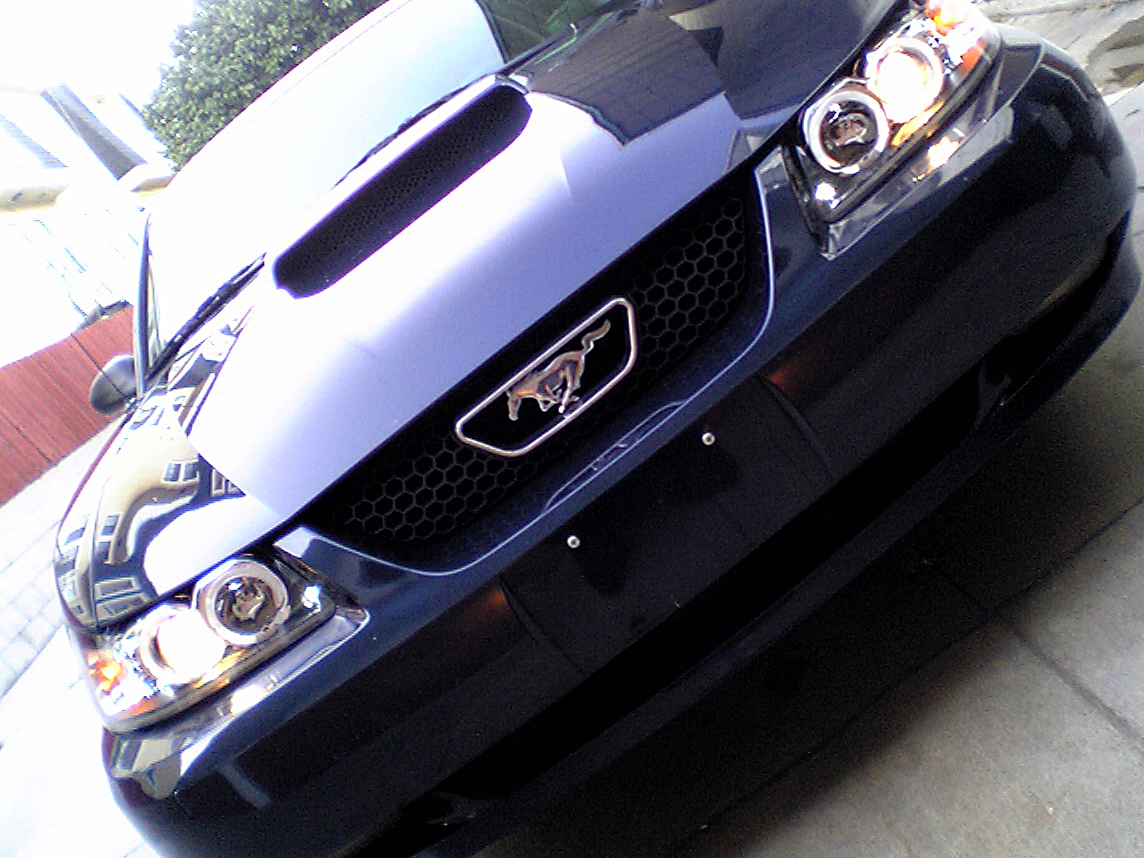 Mustang GT